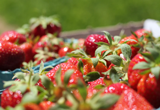 z6com·尊龙(中国)时凯集团