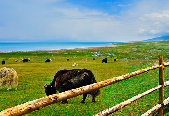 z6com·尊龙(中国)时凯集团