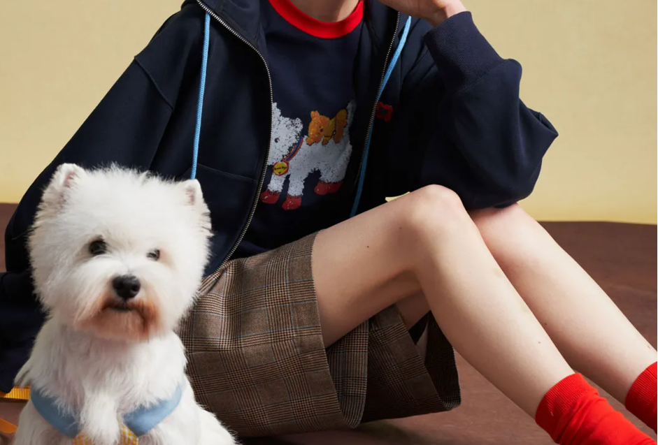 紫辰针织丨强效升级ERP+OMS，，，，，共铸纺织品牌数字化新篇章